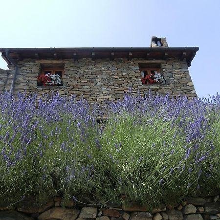 Отель Agriturismo La Fontana Dell'Olmo Molini di Triora Экстерьер фото