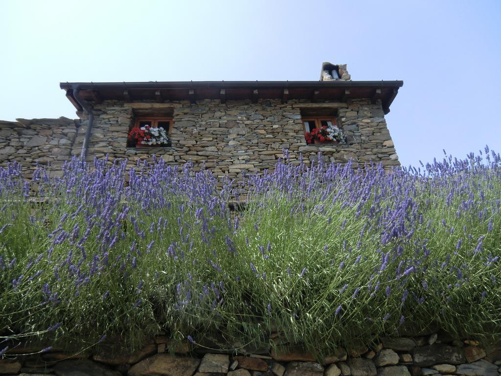 Отель Agriturismo La Fontana Dell'Olmo Molini di Triora Экстерьер фото