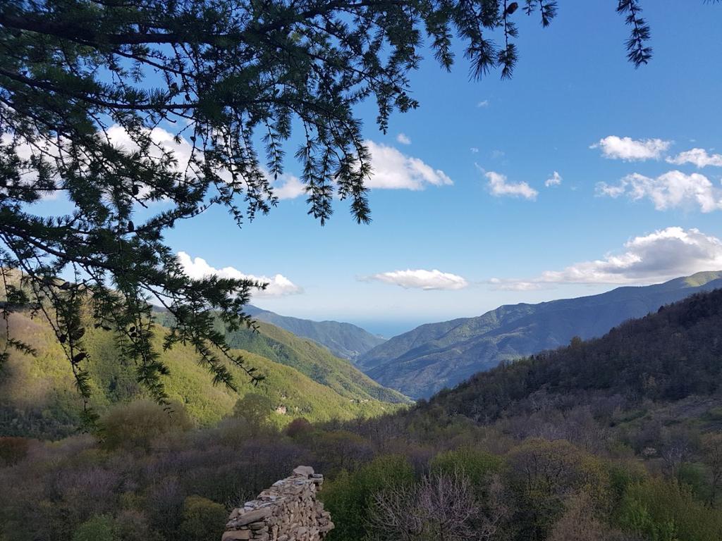 Отель Agriturismo La Fontana Dell'Olmo Molini di Triora Экстерьер фото